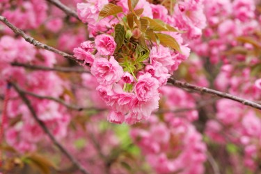 南通海安5线下个人借款平台一站式服务，轻松解决资金难题