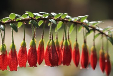 南通海安5零用贷短借：轻松解决临时资金需求